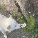 산청동물병원 이미지