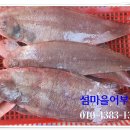 섬마을어부 이미지