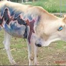 소선명농장 이미지