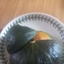 마감제주미니보우짱단호박씨 이미지