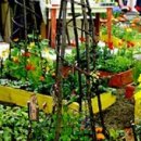 정원디자인 - 송파구 법원로 128 | 정원디자인