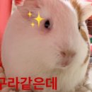 아주경로당 이미지