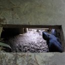 묵지농장 이미지