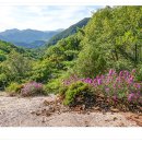 연풍레포츠공원 이미지