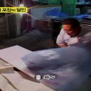 꿀단지포장센타