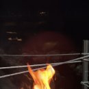 마음애고향 이미지