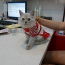 민트동물병원 이미지