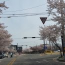 금오산로2-5 이미지