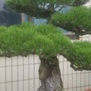 길분재농원
