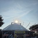 당진월드아트서커스 | 35개월 아기랑 삽교호 당진 월드아트 서커스 실내공연 후기