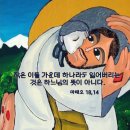 ⛪️ 대림 제2주간 이미지