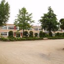 자천초등학교 이미지