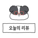 영종독 반려견 호텔, 유치원 이미지