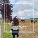 비자낭달집 | 여행 2일차 | 안녕협재씨, 협재해변, 비선루, 성이시돌목장, 에어비앤비 비자낭달집, 청파횟집 고등어회