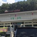 김삿갓 | 영월 계곡 | 김삿갓 계곡 물놀이 후기 + 주차, 화장실