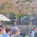 소풍7080라이브 이미지