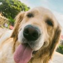 협재마당 이미지