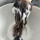 샤방샤방헤어샵 이미지