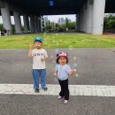 여의도 불꽃놀이 보러 왔어요 이미지