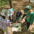 푸른공원 이미지