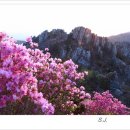 북일면 초등학교  오소재 이미지