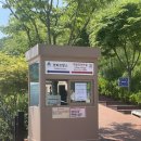 다빈치 | 가평 쁘띠프랑스 이탈리아마을 피노키오와 다빈치 솔직 후기!
