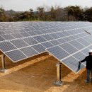 영주 태양광발전소 이미지