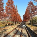 영종씨사이드 레일바이크 앞 | &#39;영종씨사이드 레일바이크&#39; 저렴하게 예매하는 꿀팁(+주의사항,후기)