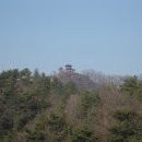 영화마을