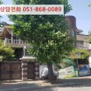 사파동120 이미지