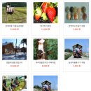 하도문쌈채마을 이미지