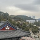 멍달구리 이미지