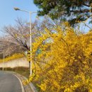 고창공설운동장 이미지