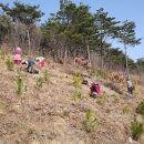 조림이네 이미지