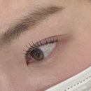 수원-1723 | [수원광교] 광교 블랙틴팅 속눈썹펌 솔직후기 | 미스튜디오