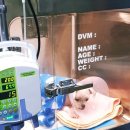 마루종합동물병원 이미지