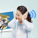 와이덱스보청기의료기