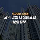 대성정보 이미지