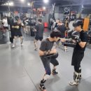 엑스오짐 이미지