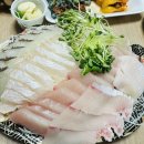 또또와칼국수 | 구리 농수산물시장 방어,참돔,광어 포장 또또와수산 내돈내산