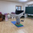 나비 한살이 이미지