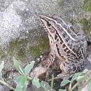 지전농장 이미지