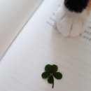 (주)네잎 이미지