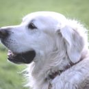 무성공인중개사사무소 이미지