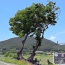 사회복지법인내원마하병원 이미지