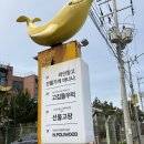 제주고투어 | 제주 함덕해수욕장 근처 오션뷰 맛집 고돌집우럭 내돈내산 런치세트 솔직후기 (+웨이팅, 주차)
