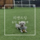 리앤드딩 이미지