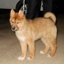 황풍농장 이미지