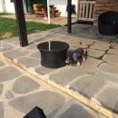 디제이 뭉 이미지