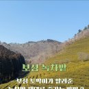 대한다원화장실 이미지